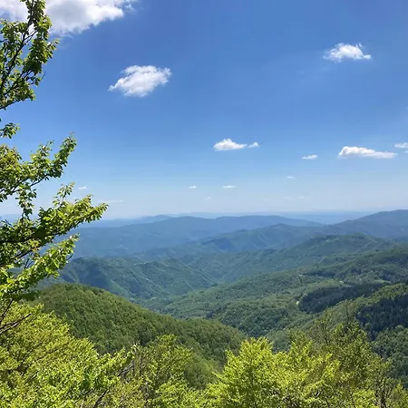 호텔 Helvetia Thermal 4s 4*