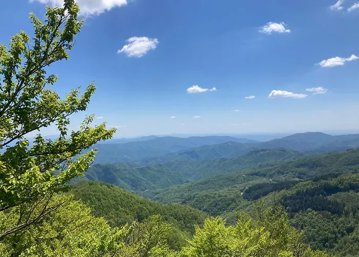 Hotel Helvetia Thermal 4s 4*